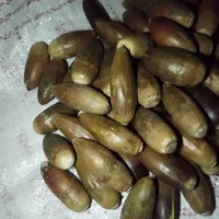 بلوط|خوردنی و آشامیدنی|صدرا-فارس, فاز ۲|دیوار