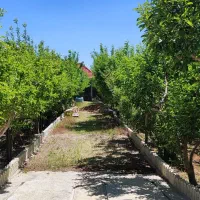 ویلاباغ کودیان با سند تک‌برگ و مجوز