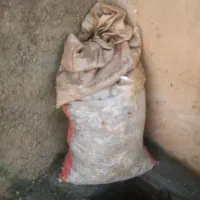 فضله کبوتر خانگی بهترین کود