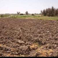 فروش-زمین-کشاورزی