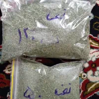 نعنا خشک شده و آماده مصرف