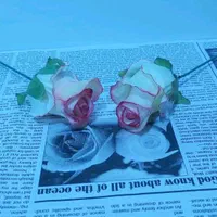 گل رز پارچه ای  مصنوعی|گل مصنوعی|قم, باجک یک|دیوار