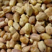 فروش خرما