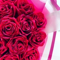 گل های جاودان بهترین هدیه روزمادر.روز زن|گل مصنوعی|آستانه اشرفیه, |دیوار