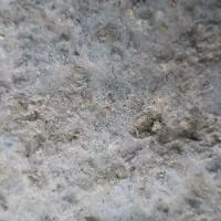 فروش سوله