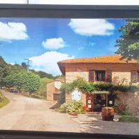 تابلو چراغ دار|تابلو، نقاشی، عکس|تربتحیدریه, سرمحله|دیوار