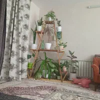 استندگل