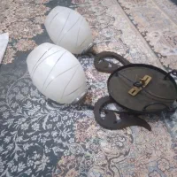 لوستردوشاخه