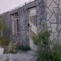 فروش باغ بادام مامایی باگردو و گیلاس  وهلو|فروش دفتر صنعتی، کشاورزی، تجاری|سامان, |دیوار