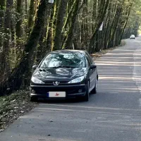 فروش 206 تیپ پنج لوازمی هورنت