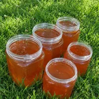 عسل صددرصد طبیعی