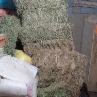 کاه گونی شده و یونجه انباری