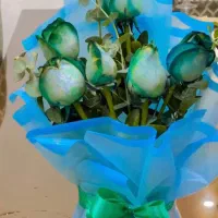 باکس،بوگت،دستگل.