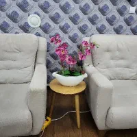 دوعدد مبل تک