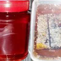 عسل طبیعی کوهستان ( خالص 100٪ )