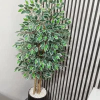 درختچه زیبا|گل و گیاه طبیعی|اهواز, حصیرآباد|دیوار