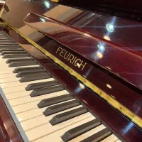 پیانو اکوستیک فویریخ FEURICH|پیانو، کیبورد، آکاردئون|تهران, بهجت‌آباد|دیوار