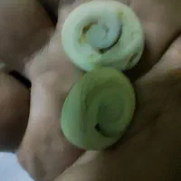 فوسیل یا سنگ واره