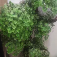 درختچه مصنوعی خارجی