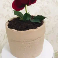 کیک روز مادر|خوردنی و آشامیدنی|سبزوار, طبرسی (جعفرآباد)|دیوار