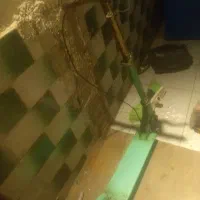 اسکوتر سالم