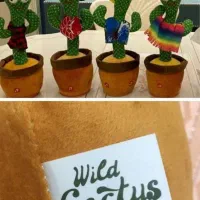 کاکتوس رقاص، ضبط صدا