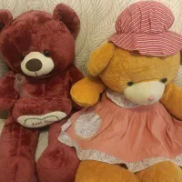 دو عدد خرس بزرگ