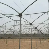 سرمایه گذاری با احداث گلخانه پربازده اقساطی