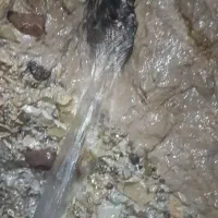 مغنی|خدمات پیشه و مهارت|گلمکان, |دیوار