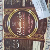 فرش اکباتان|فرش|بندر انزلی, شاکوچه|دیوار