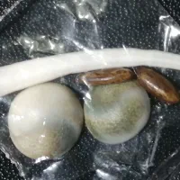 نگین انگشتر|جواهرات|آبادان, |دیوار