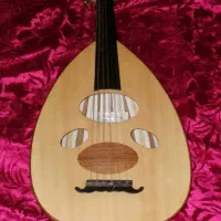 عود حرفه ای