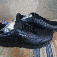 کفشreebok|کیف، کفش، کمربند|بروجن, |دیوار