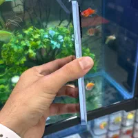 13T|موبایل|شیراز, زند|دیوار