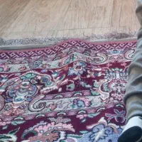 دو عدد روفرشی|روفرشی|بهار, |دیوار