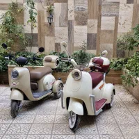 موتور برقی بزرگسال