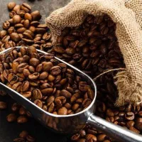 فروش قهوه انواع تکدان و میکس عمده و خورده