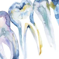 دستیار دندانپزشک