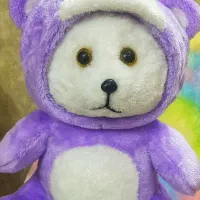 عروسک خرس کلاه دار