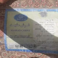فرش ۹ متری ۷۰۰ شانه فرش مشهد|فرش|قائن, |دیوار