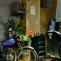 سی جی ۶۲ ژاپن مزایده