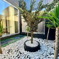 دوبلکس باروفگاردن مشرف جنگلی+سندتکبرگ رسمی|فروش خانه و ویلا|امامزاده عبدالله, |دیوار