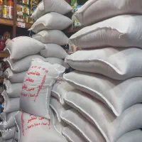 برنج هاشمی مازندران