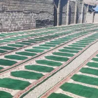 قالیشویی فتاحی