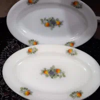 بشقاب اصل فرانسه|ظروف سرو و پذیرایی|سراوان, |دیوار