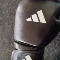 ورزشی|تجهیزات ورزشی|بوکان, |دیوار