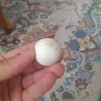 سنگ آسیاب اصلی