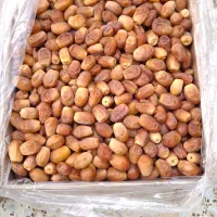 خرما زاهدی صادراتی|خوردنی و آشامیدنی|رشت, شهرک شهید رجایی|دیوار