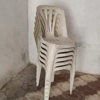 ۶ عدد صندلی پلاستیکی