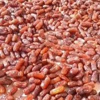 پخش عمده خرما و کشمش ناب